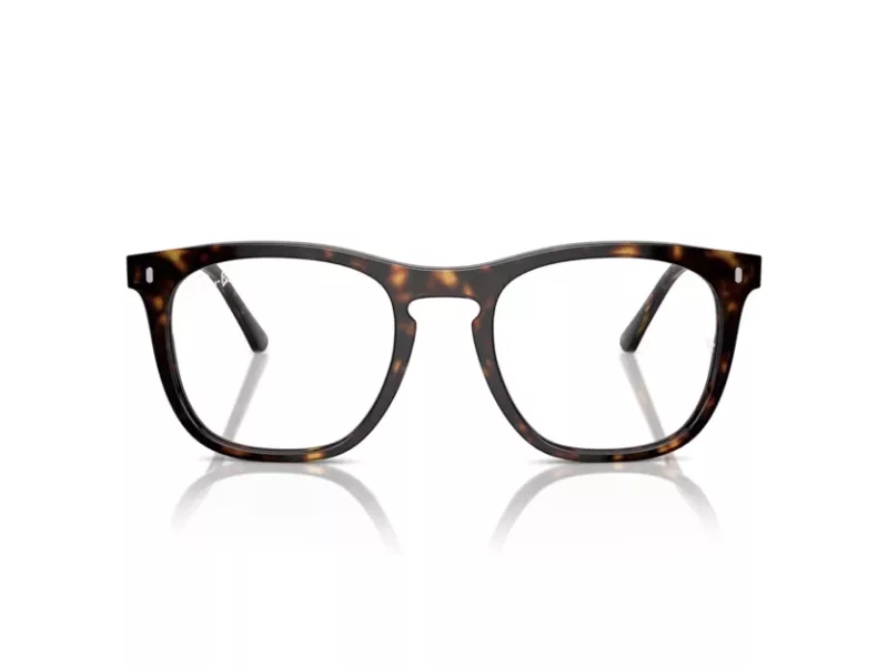 Ray-Ban Briller RX 2210V 2012