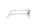 Ray-Ban Frank Briller RX 3857V 2502