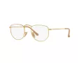 Ray-Ban Elon Briller 3958V 3086