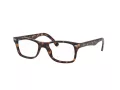 Ray-Ban Briller RX 5228 2012