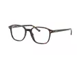 Ray-Ban Leonard Briller RX 5393 2012