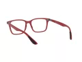 Ray-Ban Ferrari Briller RX 7144M F628