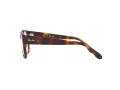 Ray-Ban Briller RX 7210 2012