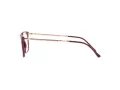 Ray-Ban Briller RX 7244 8099
