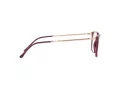 Ray-Ban Briller RX 7244 8099