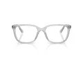 Ray-Ban Briller RX 7248D 8411