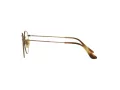Ray-Ban Round Briller RX 8247V 1222