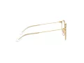 Ray-Ban Briller RY 1053 4078
