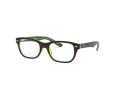 Ray-Ban Briller RY 1555 3665
