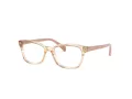 Ray-Ban Briller RY 1591 3809
