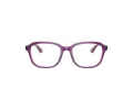Ray-Ban Briller RY 1627 3944