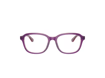 Ray-Ban Briller RY 1627 3944