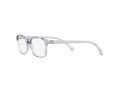 Ray-Ban Briller RY 1902 3838