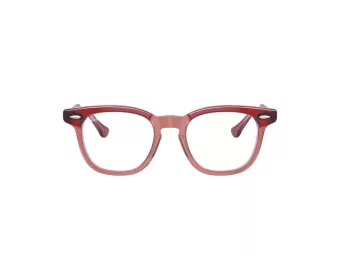 Ray-Ban Briller RY 9098V 3960