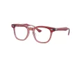 Ray-Ban Briller RY 9098V 3960