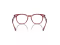 Ray-Ban Briller RY 9098V 3960