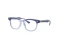 Ray-Ban Briller RY 9098V 3961