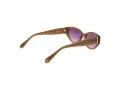 Superdry Solbriller SDS 5013 172