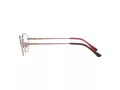Sferoflex Briller SF 2573 490