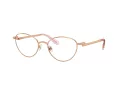 Swarovski Briller SK 1002 4014