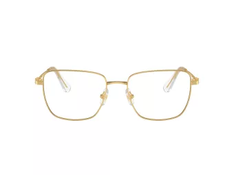 Swarovski Briller SK 1003 4004