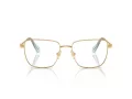 Swarovski Briller SK 1003 4021