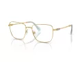Swarovski Briller SK 1003 4021