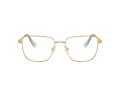 Swarovski Briller SK 1003 4021