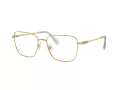 Swarovski Briller SK 1003 4021