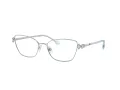 Swarovski Briller SK 1006 4020