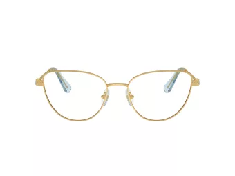 Swarovski Briller SK 1007 4021