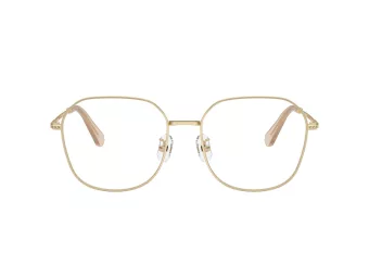Swarovski Briller SK 1009D 4013