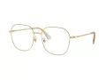 Swarovski Briller SK 1009D 4013
