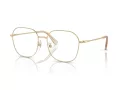 Swarovski Briller SK 1009D 4013