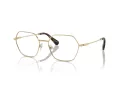 Swarovski Briller SK 1011 4013
