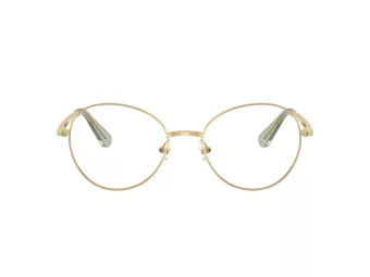 Swarovski Briller SK 1013 4017