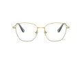 Swarovski Briller SK 1019 4021