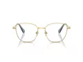 Swarovski Briller SK 1019 4021