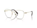 Swarovski Briller SK 1019 4028