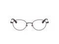 Swarovski Briller SK 1028TD 4041