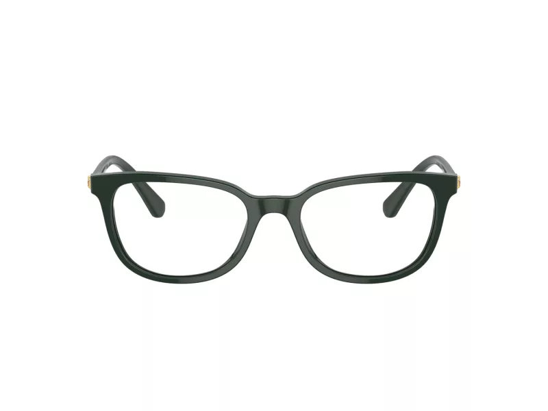 Swarovski Briller SK 2003 1026