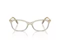 Swarovski Briller SK 2017 3003