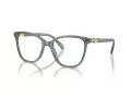 Swarovski Briller SK 2020 1043