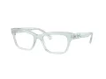 Swarovski Briller SK 2022 1024