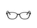Swarovski Briller SK 2040D 1001