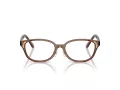 Swarovski Briller SK 2040D 1067