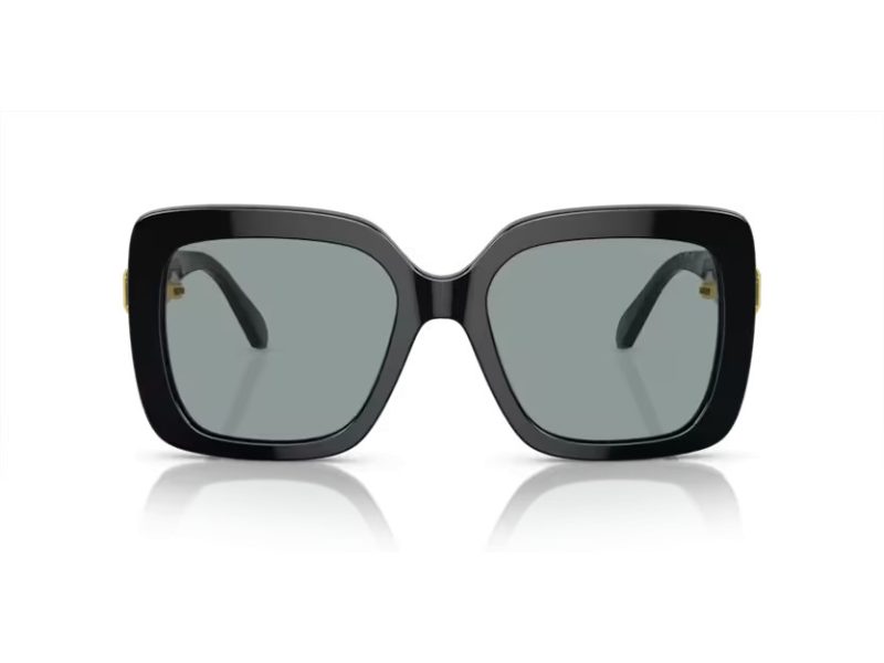 Swarovski Solbriller SK 6001 1001/1