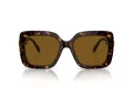 Swarovski Solbriller SK 6001 100283