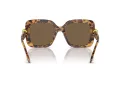 Swarovski Solbriller SK 6001 104073