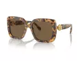 Swarovski Solbriller SK 6001 104073